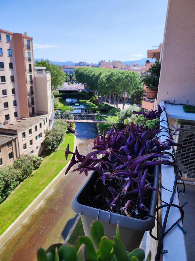 Le Balcon De La Basse Centre Ville De Perpignan Bagian luar foto